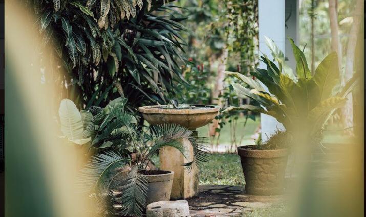 Amara Villa Ahangama Extérieur photo